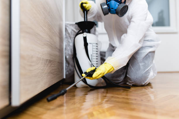 Best Local Pest Control Services  in East Prairie, MO
