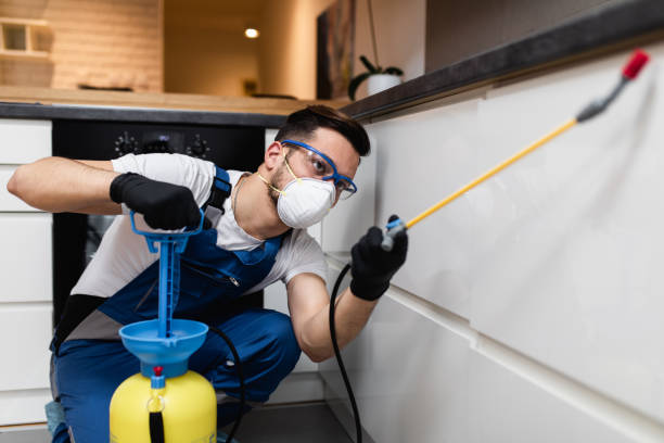  East Prairie, MO Pest Control Pros