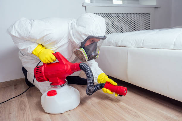Best Wasp Removal Services  in East Prairie, MO
