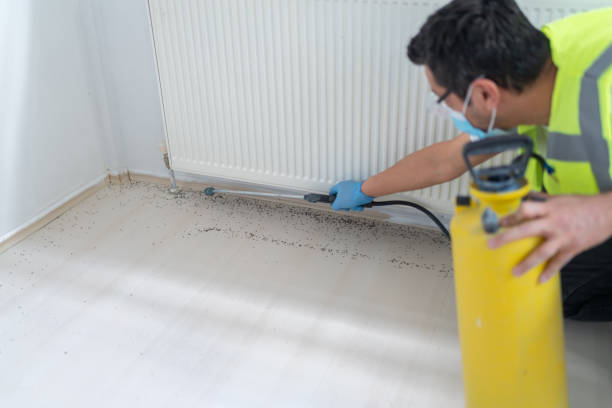 Trusted East Prairie, MO Pest Control Experts